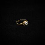 1713 2446 Ring